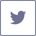 social-icon